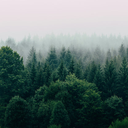 KRAIVE Solid Perfume Balm - Cold Mountain Forest